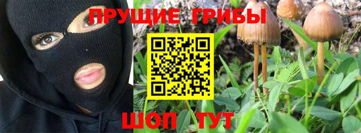 Родники  как найти наркотики  Вход с VPN  Галлюциногенные грибы Psilocybine cubensis  Псилоцибиновые грибы Magic Shrooms 